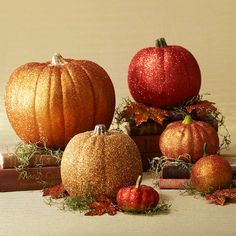 086b129b6491efda4d400497555f59cf.jpg